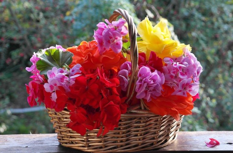 Flower boxy to świetny sposób na trwały prezent i dekorację domu czy biura
